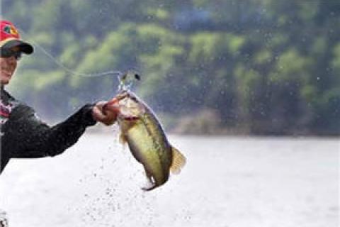 Beginner's Guide to Bass Fishing: Essential Gear and Techniques