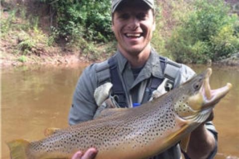 Catching Brown Trout with an Osprey! 3/28/24 