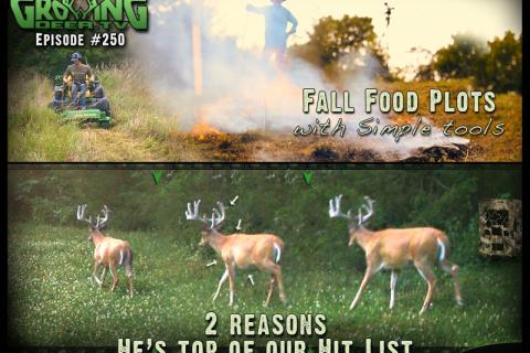 News & Tips: Deer Season: My Biggest Buck Hit List & Tips on Food Plots and Tree Plots (video)...