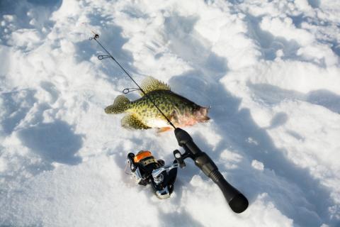 News & Tips: Shopping for an Ice Fishing Rod? Remember These 4 Factors:...