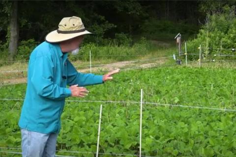 News & Tips: Food Plots: Predators, Protection, and Possibilities (video)...