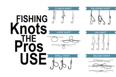 Chart illustrates how to tie Clinch, Palomar, Uni, Loop, Blood and Snell Knots
