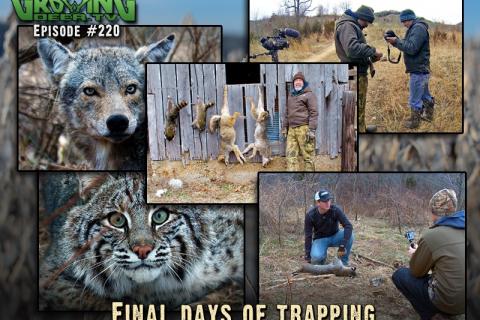 News & Tips: A Productive Season: Trapping, Fire, and Food Plots...