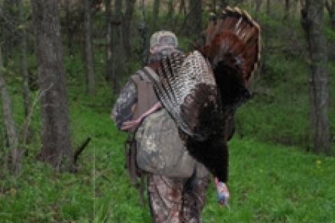 News & Tips: Troubleshooting Your Turkey Hunt