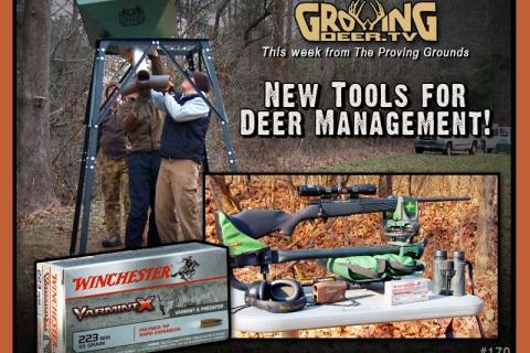 News & Tips: Tools and Tips for Managing Whitetails...