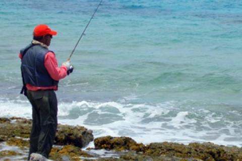 News & Tips: Travel: Fishing Bonaire, Netherland Antilles...