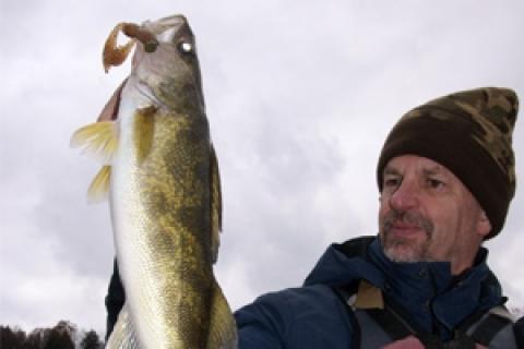 News & Tips: Non-traditional Soft Baits Catch Fall River Walleyes...
