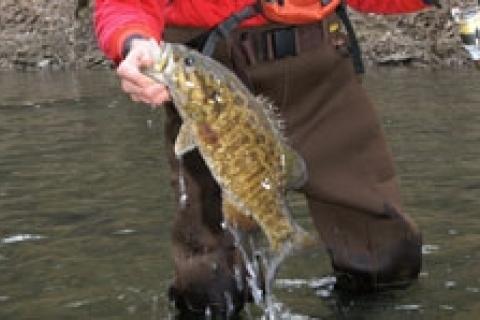 Early-season river and reservoir bass tactics