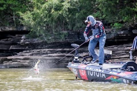 Mike Iaconelli  by Mike Iaconelli 