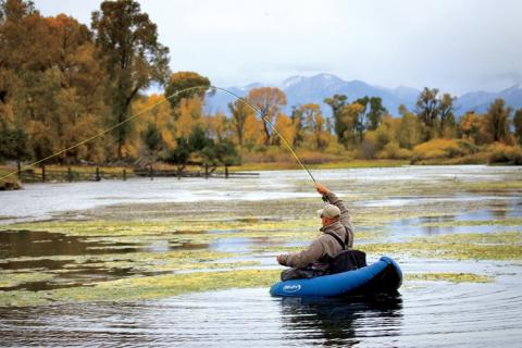News & Tips: Why Water Temperature Plays a Role in Your Fishing Success...
