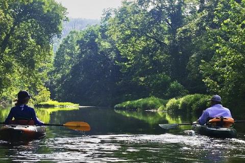 2 Kayakers floating down a scenic river in Missouri with dense foliage and trees on both sides with the sun peeking through