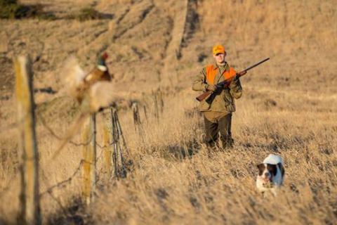 News & Tips: How to Thank Landowners for Use of Private Land During Hunting Season...