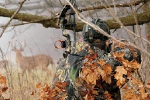 News & Tips: Bowhunting 101