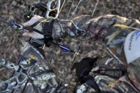 News & Tips: Purchased Your First Compound Bow? Now Get These Accessories...