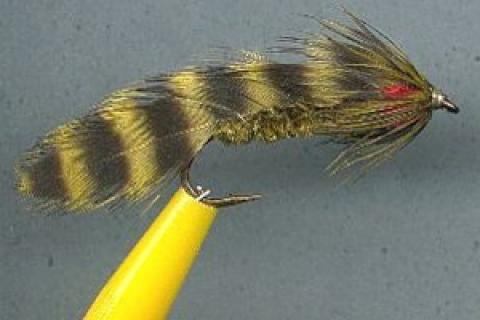 News & Tips: Fly Tying Tips: Dubbed Bodies