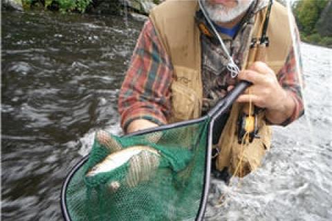 Flashy Streamers Worth a Try When the Water is High