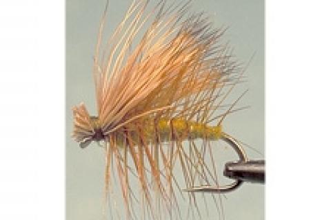 Bass on sale pro flies