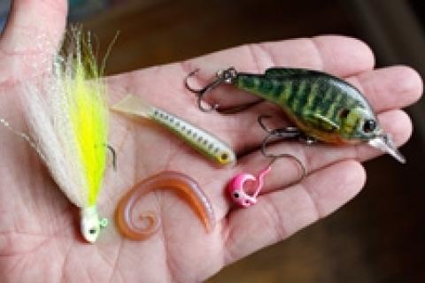 Soft Plastic Lure Scent - Fishing Tackle - Bass Fishing Forums