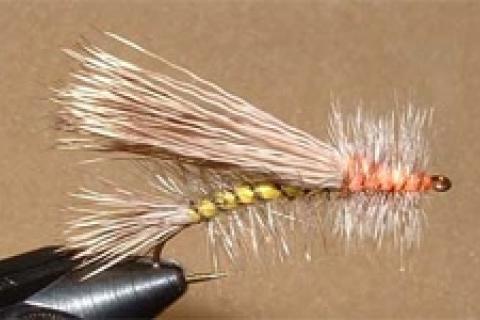 How to Tie the Stimulator Fly: Step by Step Instructions