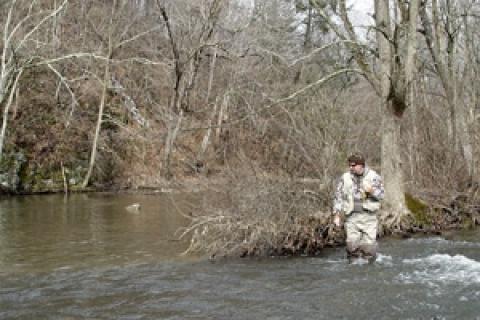 News & Tips: The Promise of Spring Creek Trout