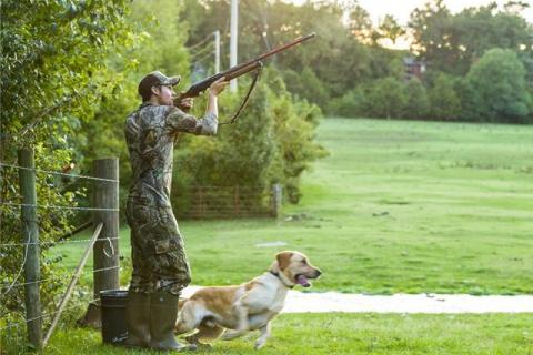 Dove hunter shooting 