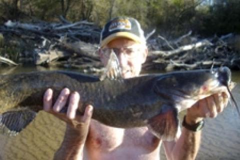 News & Tips: Noodling Catfish in Kansas - Lessons Learned...