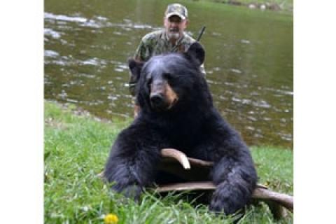 News & Tips: 3 Tips to Know When Planning Your First Bear Hunt...