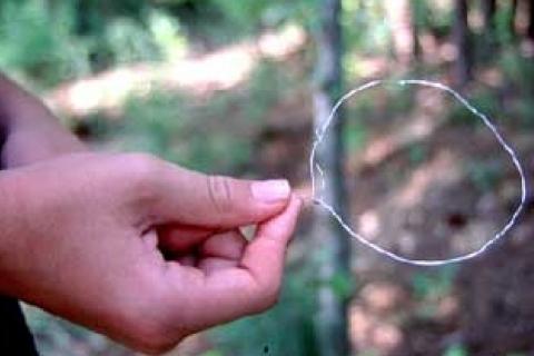 News & Tips: Simple Snares for Survival