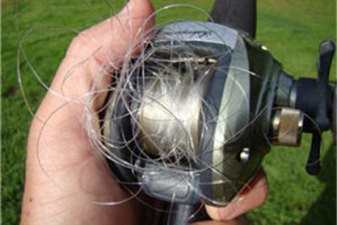 News & Tips: 8 Things You Can Do to Prevent a Fishing Line Birds Nest...