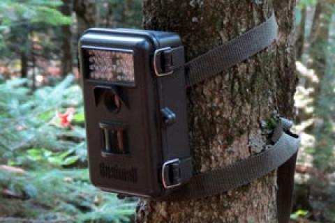 News & Tips: How Trail Cameras Prepare You for Deer Season...