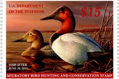 How Hunters Fund Conservation Through the Federal Duck Stamp