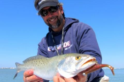News & Tips: Travel Blog: Lure Lessons in the Shallows of Tampa Bay...