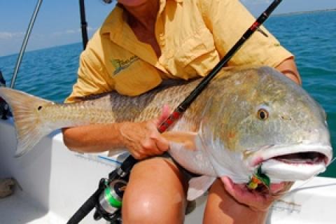 Redfish Autumn Run