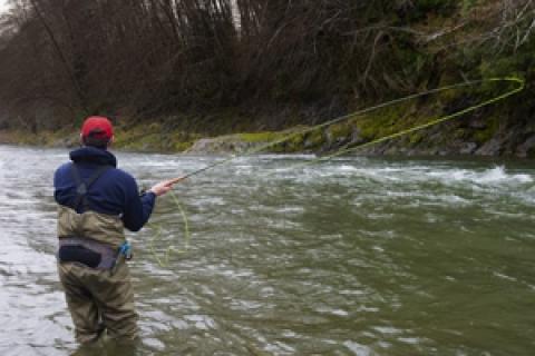News & Tips: Understanding the Functions of Fly Rods...