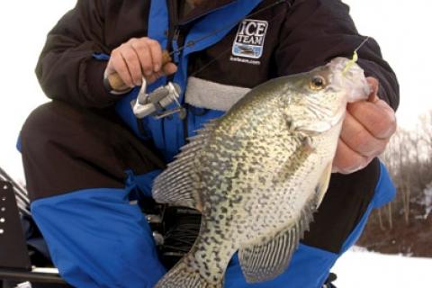 Jig and Minnow Crappie