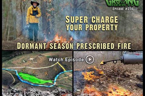 News & Tips: Prescribed Fire: Improving Whitetail Habitat (video)...