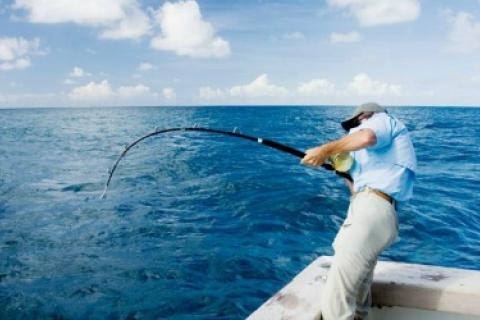 News & Tips: The Big Fish Bucket List