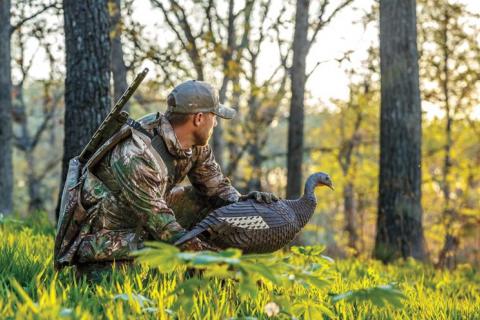 News & Tips: Test Your Fall Turkey Hunting Knowledge Quiz...