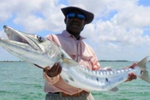 News & Tips: Flats Fishing for Barracuda