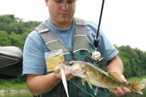 News & Tips: Soft Stickbait Techniques for Summer River Walleyes...