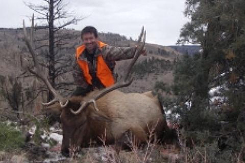 News & Tips: Rocky Mountain Elk Hunt #4