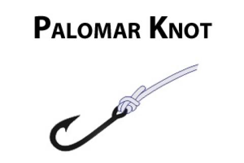 News & Tips: Fishing Knot Library: How to Tie the Palomar Fishing Knot...