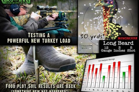 News & Tips: Turkey Hunting: Testing a New Turkey Load, 50 to 70 Yards?...