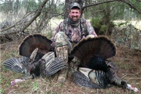 News & Tips: How to Hunt a Late Spring and Henned-up Turkeys...