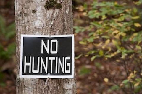News & Tips: A Roundup of Unique Hunting Laws
