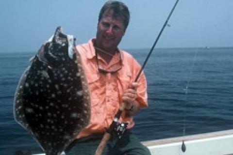 News & Tips: Chesapeake Bay Flounder