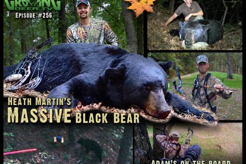 News & Tips: Bow Hunting BIG Bears and Whitetails: In Range and DOWN! (video)...