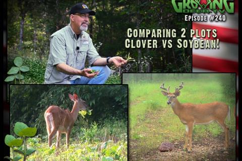 News & Tips: Food Plots For Deer: How To Have The Best Food In the Neighborhood...