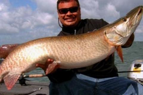 News & Tips: Fall Muskie Strategies