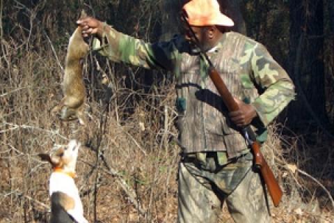 Expert Tips and Techniques for Successful Rabbit Hunting